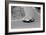 Pierre Noblet Driving a Ferrari 250Gto, 1963 (Photo)-null-Framed Giclee Print