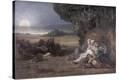 Stretched Canvas Print