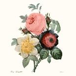 Blushing Bouquet I-Pierre Redoute-Art Print