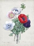 Blushing Bouquet II-Pierre Redoute-Art Print