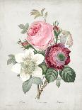 Blushing Bouquet I-Pierre Redoute-Mounted Art Print