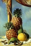 Still-Life with Pineapples; Nature Morte Avec Ananas, (Oil on Canvas)-Pierre Roy-Framed Giclee Print