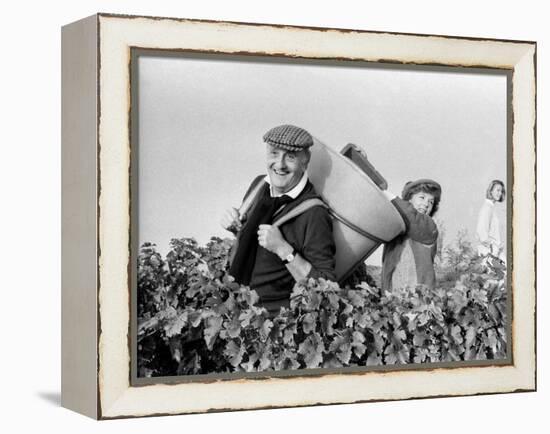 Pierre Tchernia During Grape-Harvest in Libourne, France, September 1986-null-Framed Stretched Canvas