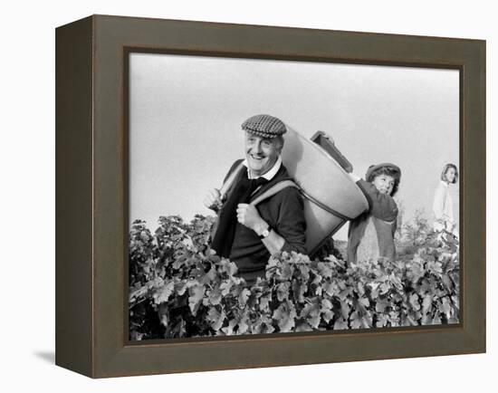 Pierre Tchernia During Grape-Harvest in Libourne, France, September 1986-null-Framed Stretched Canvas