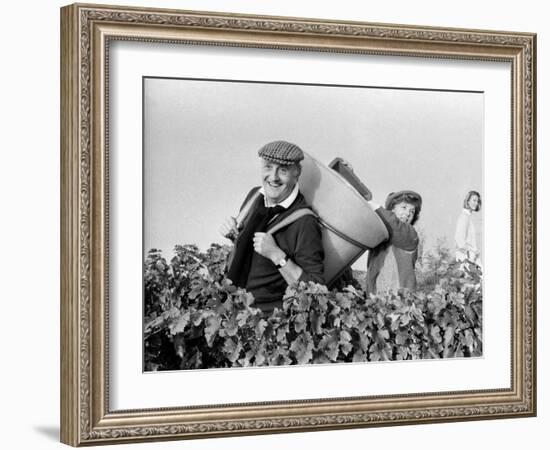 Pierre Tchernia During Grape-Harvest in Libourne, France, September 1986-null-Framed Photo