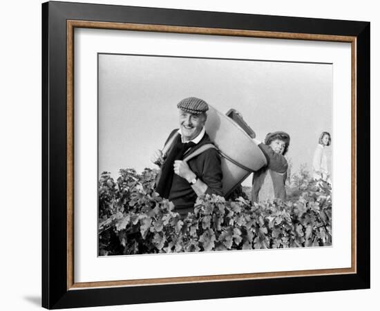 Pierre Tchernia During Grape-Harvest in Libourne, France, September 1986-null-Framed Photo