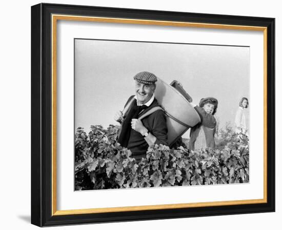 Pierre Tchernia During Grape-Harvest in Libourne, France, September 1986-null-Framed Photo