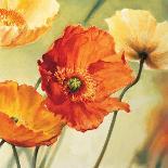 Champs de coquelicots I-Pierre Viollet-Art Print