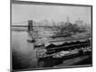 Photographic Print