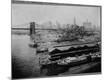 Photographic Print