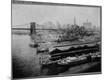 Photographic Print