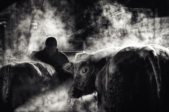 Photographic Print, , large