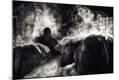 Photographic Print