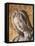Pieta-Michelangelo Buonarroti-Framed Premier Image Canvas