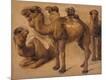 Giclee Print