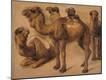 Giclee Print