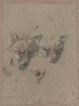 Many of Boels sketches were used in the tapestries woven in Les Gobelins.Head studies of a roebuck-Pieter Boel-Giclee Print