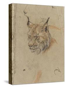 Lynxes Bobcats Stretched Canvas Prints Art Prints Paintings Posters Wall Art Art Com Lynxes Bobcats Stretched Canvas Prints Art Prints Paintings Posters Wall Art Art Com