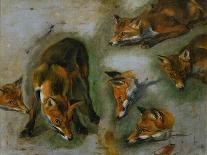 Deux têtes de renards et un oeil-Pieter Boel-Giclee Print