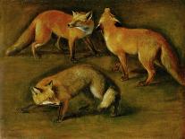 Many of Boels sketches were used in the tapestries woven in Les Gobelins. Studies of a lynx-Pieter Boel-Giclee Print