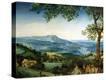 Stretched Canvas Print