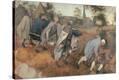Stretched Canvas Print