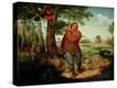 Stretched Canvas Print
