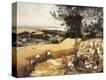 Stretched Canvas Print