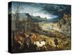Stretched Canvas Print