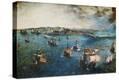 Stretched Canvas Print