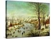 Stretched Canvas Print