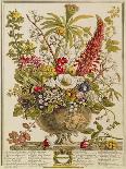 Cock Pheasant, Hen Pheasant and Chicks and Other Birds in a Classical Landscape-Pieter Casteels-Giclee Print