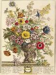 October, from 'twelve Months of Flowers' by Robert Furber (C.1674-1756) Engraved by Henry Fletcher-Pieter Casteels-Giclee Print