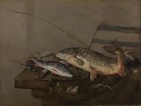 Still Life with Fish-Pieter van Noort-Framed Stretched Canvas