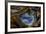 Pietersite from Namibia-Darrell Gulin-Framed Photographic Print