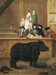 The Exhibition of the Rhino, 1751-Pietro Longhi-Giclee Print