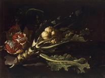 Cauliflower and Pomegranates-Pietro Paolo Bonzi-Mounted Giclee Print