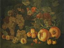 Cauliflower and Pomegranates-Pietro Paolo Bonzi-Premier Image Canvas