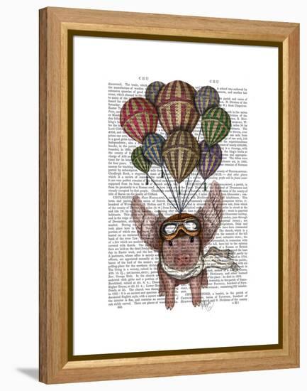 Pig and Balloons-Fab Funky-Framed Stretched Canvas