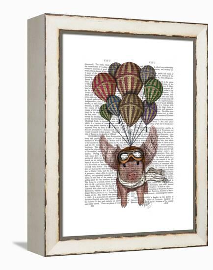 Pig and Balloons-Fab Funky-Framed Stretched Canvas