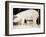 Pig and Five Piglets-Theo Westenberger-Framed Art Print