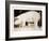 Pig and Five Piglets-Theo Westenberger-Framed Art Print