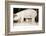 Pig and Five Piglets-Theo Westenberger-Framed Photographic Print