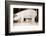 Pig and Five Piglets-Theo Westenberger-Framed Photographic Print