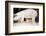 Pig and Five Piglets-Theo Westenberger-Framed Photographic Print