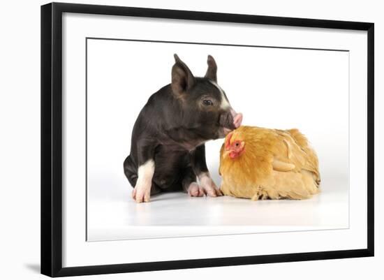 Photographic Print, , large