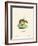 Pig-Footed Bandicoot-null-Framed Giclee Print