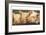 Pig Heaven-Carolyne Hawley-Framed Art Print