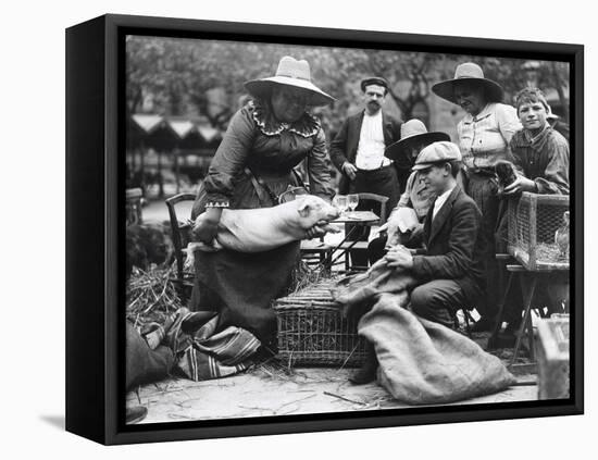 Pig Lady at the Paris Animal Market, 20th Century-Andrew Pitcairn-knowles-Framed Premier Image Canvas