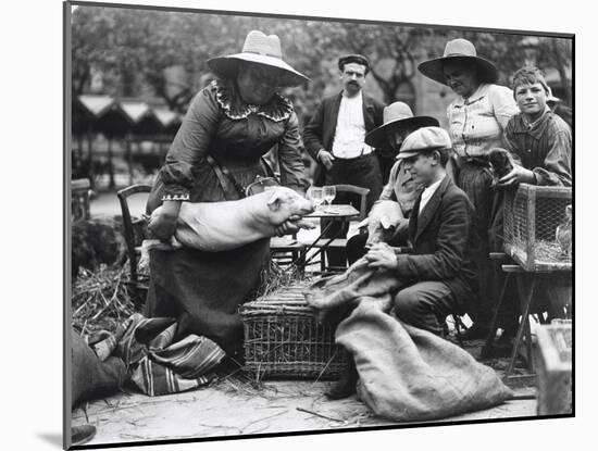 Pig Lady at the Paris Animal Market, 20th Century-Andrew Pitcairn-knowles-Mounted Giclee Print